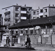DSC07157-a.jpg