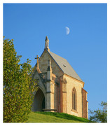 41,1 - Émerveillé, j'ai spontanément photographié