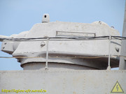 IMG-3537