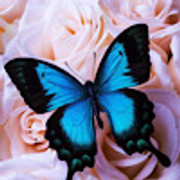 5AEA88D6-77A6-4863-B78F-140E8A1484D2