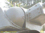 IMG-8811