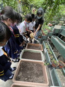 photo-littlefarmer2223-1B-013