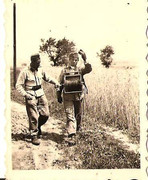 533811_467383423304787_740427226_n