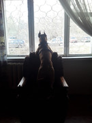 BAB43620-F50D-4ECA-8BDE-ACFE83C4C94E