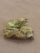 IMG_20250304_195252_070