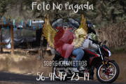 IMG-0621