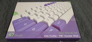 Akko-ASA-Profile-PBT-Double-Shot