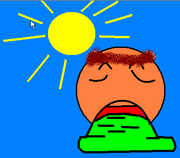 Obrázek