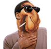 540f717a5a5276af37567eca85a980e.png