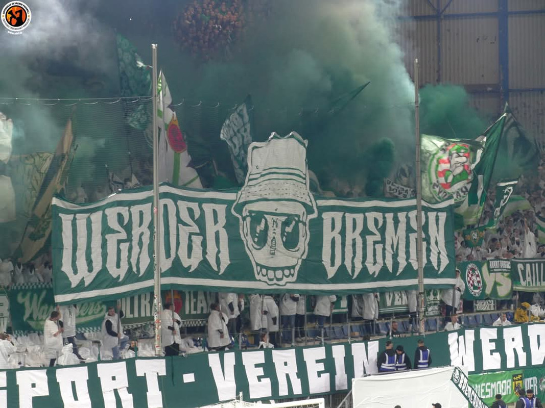 FB_IMG_1740568681013