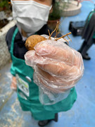 photo-20211123-iherbalgarden-030