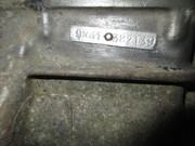 IMG-6508.jpg