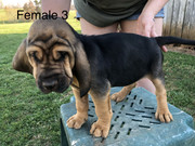 9655F65E-E74D-4A7A-AF5F-3CEC85CC2662