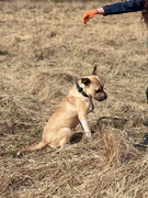 IMG_20230416_173436_590