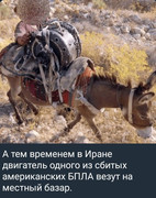https://i.postimg.cc/grnpq5Qn/photo-2026-07-21-02-12-06.jpg