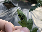 E51B49C2-6CF3-45F5-BD39-E5D6878816B2