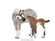 C55271C2-AEA4-4E41-A4E5-0AEE142B9016