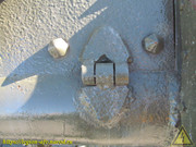 IMG-5426