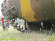 IMG-6593