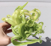 17084FE9-55C4-4C36-92A4-4DE6C4745618