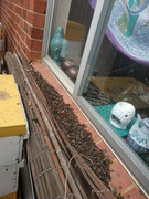 photo_2021-07-28_08-31-49