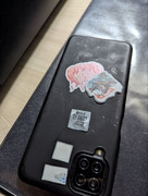 photo_2025-05-22_00-48-42