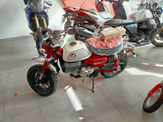 photo_5789641255771291291_y