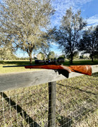 IMG-1255