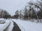 IMG-6585