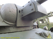 IMG-5564