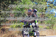 IMG-3066