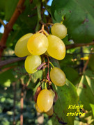 20190903-180325
