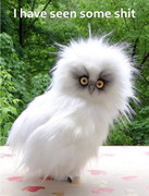 277790509_4813728265392108_7795173065135903539_n