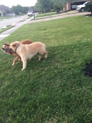 image_2023-02-02_231453162