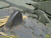 IMG-4197