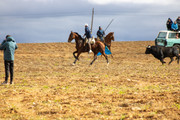 IMG-0066