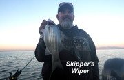 [Image: SKIPPER-WIPER.jpg]