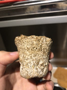 6CE4ECF2-C639-4DAC-8092-9BAB4D196CBB