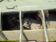 IMG-5676