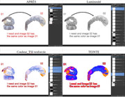 [Image: 8-Crevettes-apres.jpg]