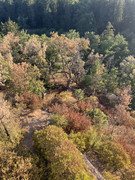 IMG-6355