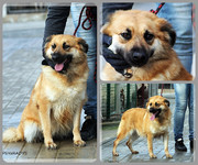 Be-Funky-collage-26.jpg&key=2d72b3bcef0d