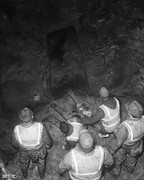 singlebungle1472-20221202-221248-001