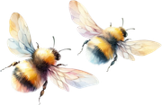 tk-Bunny-Kisses-bees1
