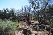 DSC-0021