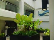 photo 44 2025 12 17 21 28 21