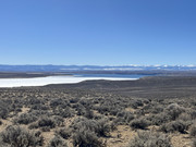 [Image: IMG-4571.jpg]