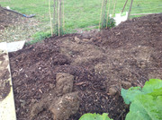 Kompostmiete Aus Drei mach Eins 2.Okt. 2015 (23)