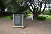 DSC-0023