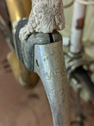 PXL_20221126_160904960